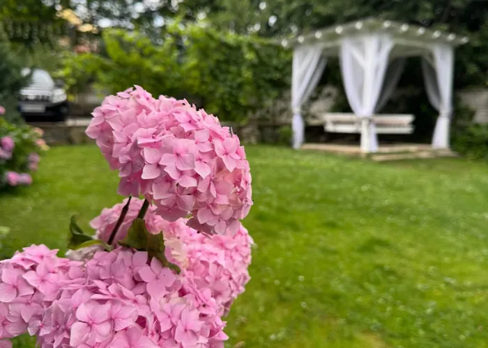 酒店 Guest House 亚列姆切