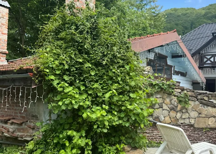 Guest House *