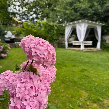 Hotel Guest House Yaremche